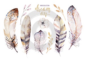 Hand drawn watercolor paintings vibrant feather set. Boho style rose wings. illustration feathers isolated on white