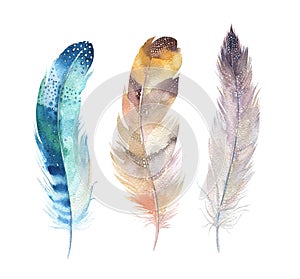 Hand drawn watercolor paintings vibrant feather set. Boho style wings