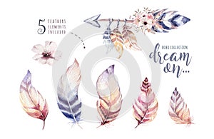 Hand drawn watercolor paintings vibrant feather set. Boho style wings. illustration isolated on white. Bird fly design