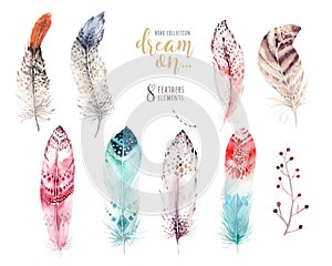 Hand drawn watercolor paintings vibrant feather set. Boho style wings. illustration isolated on white. Bird fly design