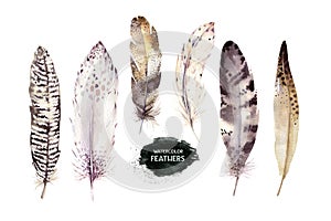 Hand drawn watercolor paintings vibrant feather set. Boho style wings. illustration isolated on white. Bird fly design