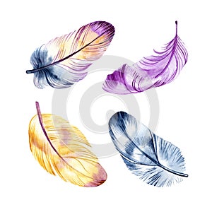 Hand drawn watercolor paintings vibrant feather set. Boho style wings. illustration isolated on white. Bird fly design