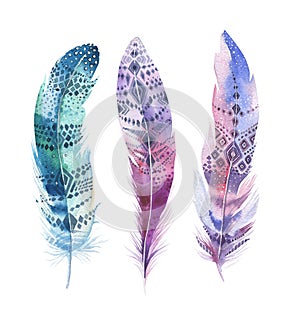 Hand drawn watercolor paintings vibrant feather set. Boho style