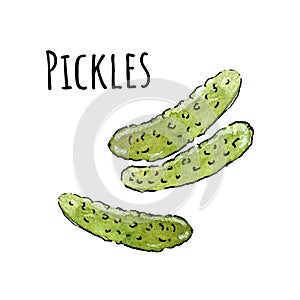 Hand drawn watercolor pickles icon