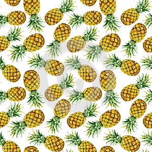Hand drawn watercolor pineapples