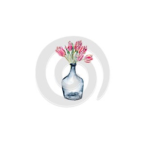 Hand drawn watercolor pink flowers tulips in a glass bottle.