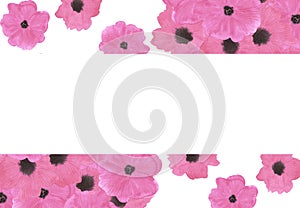 Hand drawn watercolor pink poppy flowers bouquet frame border isolated on white background. Can be used for business card, banner
