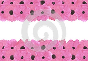 Hand drawn watercolor pink poppy flowers frame border isolated on white background. Can be used for card, scrapbook and other