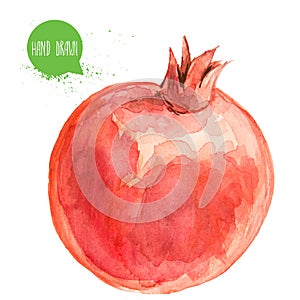 Hand drawn watercolor pomegranate. Isolated on white background fruit illustration.