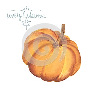 Hand drawn watercolor pumpkin