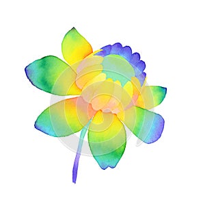 Hand drawn watercolor rainbow flower illustration