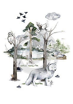 Hand drawn watercolor realistic white wolf. Wildlife animal illustration in forest
