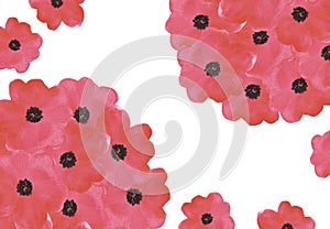 Hand drawn watercolor red poppy flowers bouquet composition isolated on white background. Can be used for business card, banner