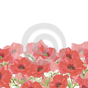 Hand drawn watercolor red poppy flowers frame border isolated on white background. Can be used for post card, banner and other