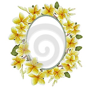 Hand drawn watercolor round oval frame template design element with exotic botanical jungle plant elegant yellow