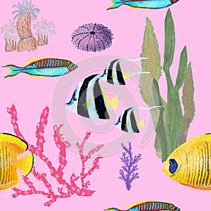Hand drawn in watercolor sea world natural element. Corals reef fish seamless pattern on pink background.