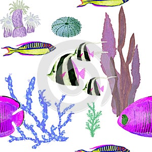 Hand drawn in watercolor sea world natural element. Corals reef fish seamless pattern on white background