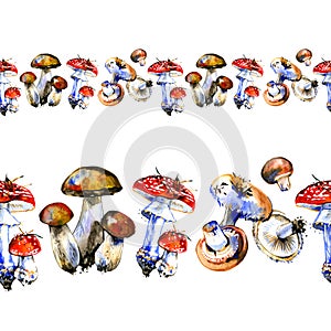 Hand drawn watercolor seamless horizontal border illustration mushroom. Forest wood woodland esign. Wild raw healthy