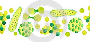 Hand drawn watercolor seamless horizontal border yellow green viruses and bacteria isolated set. Microscopic cell