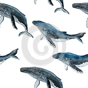 Hand drawn watercolor seamless pattern with blue whale. Sea ocean marine animal, nautical underwater endangered mammal