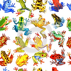 Hand drawn watercolor seamless pattern with colorful tree frogs. Stock illustration of tropical amphibians