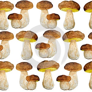 Hand drawn watercolor seamless pattern illustration of porcini cep edible boletus mushroom. Forest wood woodland esign