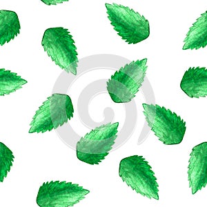 Hand drawn watercolor seamless pattern with lot of green isolated single peppermint leaves as background