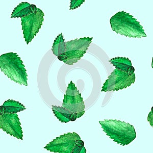 Hand drawn watercolor seamless pattern with lot of green peppermint leaves on blue background.