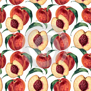 Hand drawn watercolor seamless pattern with peaches. Vintage fruit style. Botanical Illustration isolated on white. Design for photo