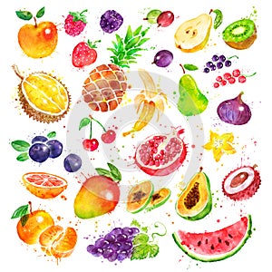 Hand drawn watercolor set of fruit