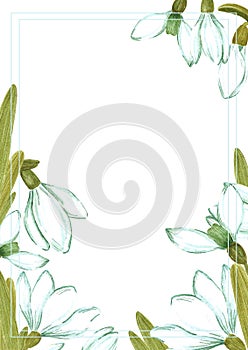 Hand drawn watercolor snowdrop flowers bouquet. Isolated on white background. Scrapbook, post card, banner, lable, poster