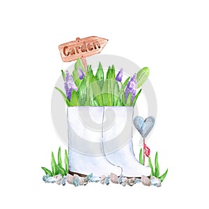 Hand drawn watercolor spring garden flowers with rubber boots composition on white background. Vintage illustration in rural style