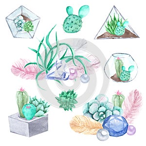 Hand drawn watercolor succulents, plant terrarium, feathers and crystals illustration, gemstone set isolated