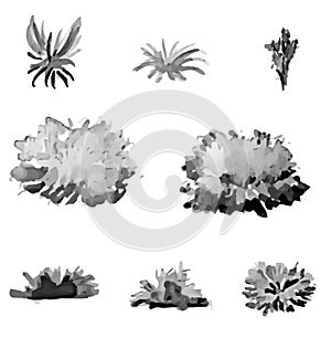 Hand drawn and watercolor tree set