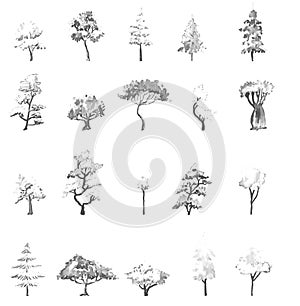 Hand drawn and watercolor tree set