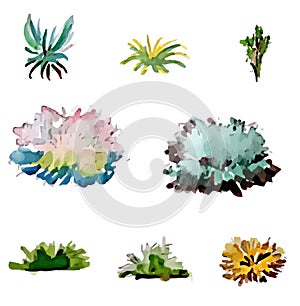 Hand drawn and watercolor tree set