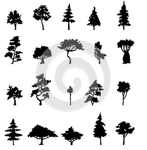 Hand drawn and watercolor tree set