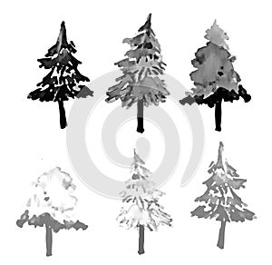 Hand drawn and watercolor tree set