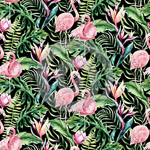 Hand drawn watercolor tropical bird flamingo seamless pattern . Exotic rose bird illustrations, jungle tree, brazil