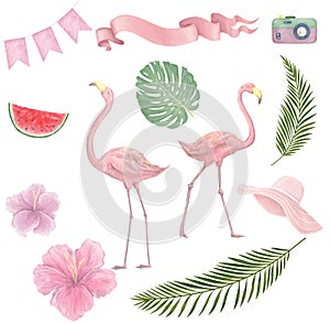 Hand drawn watercolor tropical birds set of flamingo. Exotic rose bird illustrations, jungle tree, brazil trendy art. Perfect for