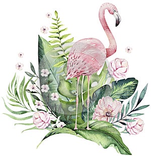 Hand drawn watercolor tropical birds set of flamingo with leaves. Exotic rose bird illustrations, jungle tree leaf