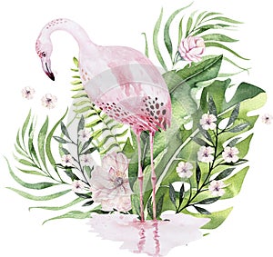 Hand drawn watercolor tropical birds set of flamingo with leaves. Exotic rose bird illustrations, jungle tree leaf