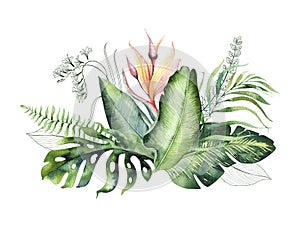 Hand drawn watercolor tropical flower bouquet composition. Exotic palm leaves, jungle tree, brazil tropic botany