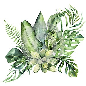 Hand drawn watercolor tropical flower bouquet composition. Exotic palm leaves, jungle tree, brazil tropic botany