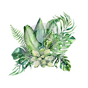 Hand drawn watercolor tropical flower bouquets. Exotic palm leaves, jungle tree, brazil tropic botany elements and