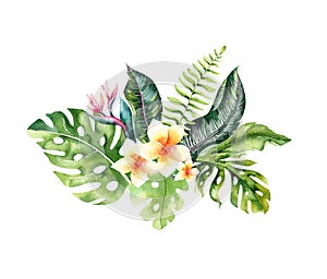 Hand drawn watercolor tropical flower bouquets. Exotic palm leaves, jungle tree, brazil tropic botany elements and