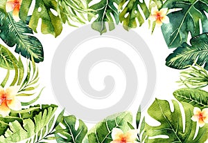 Hand drawn watercolor tropical plants background. Exotic palm leaves, jungle tree, brazil tropic borany elements