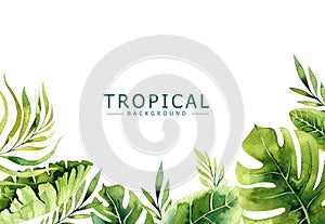 Hand drawn watercolor tropical plants background. Exotic palm leaves, jungle tree, brazil tropic borany elements