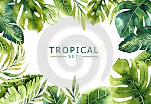 Hand drawn watercolor tropical plants background. Exotic palm leaves, jungle tree, brazil tropic borany elements photo