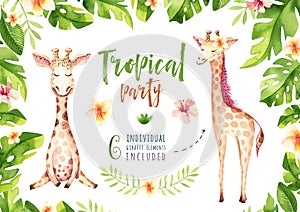 Hand drawn watercolor tropical plants set and giraffe. Exotic palm leaves, jungle tree, brazil tropic botany elements